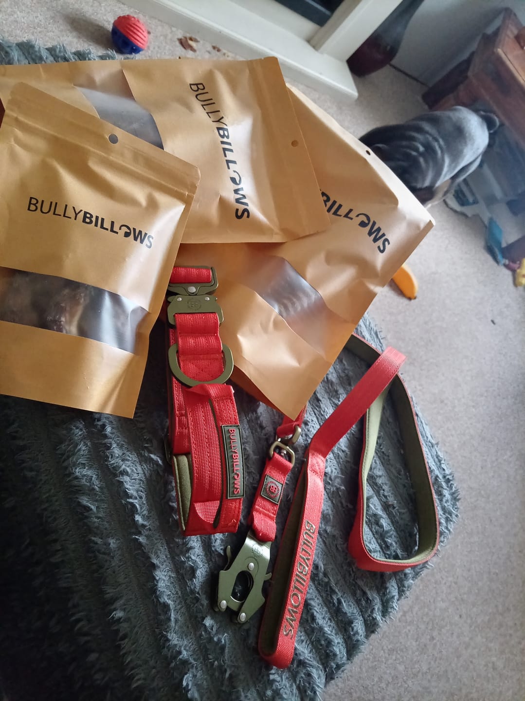 Customer photo review of 4cm LIGHTER Combat® Collar | With Handle & Secure Clip - Burnt Orange X Khaki