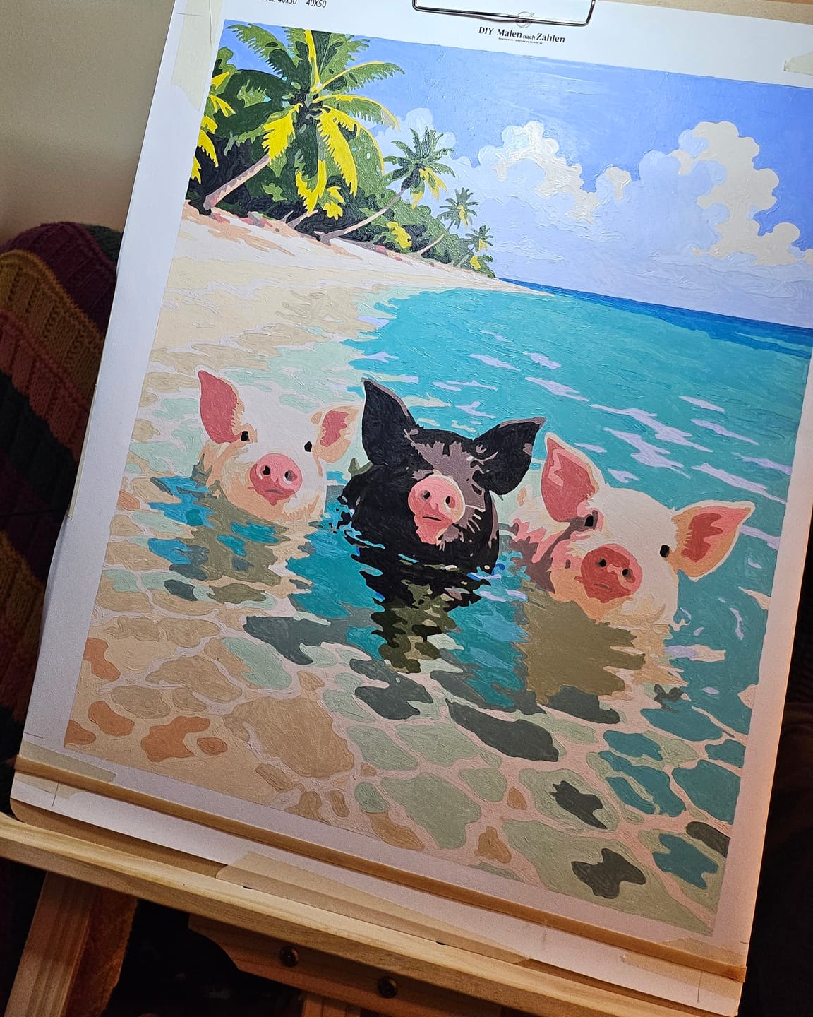 Customer photo review of Malen nach Zahlen - Bahamas Strand Schweinchen