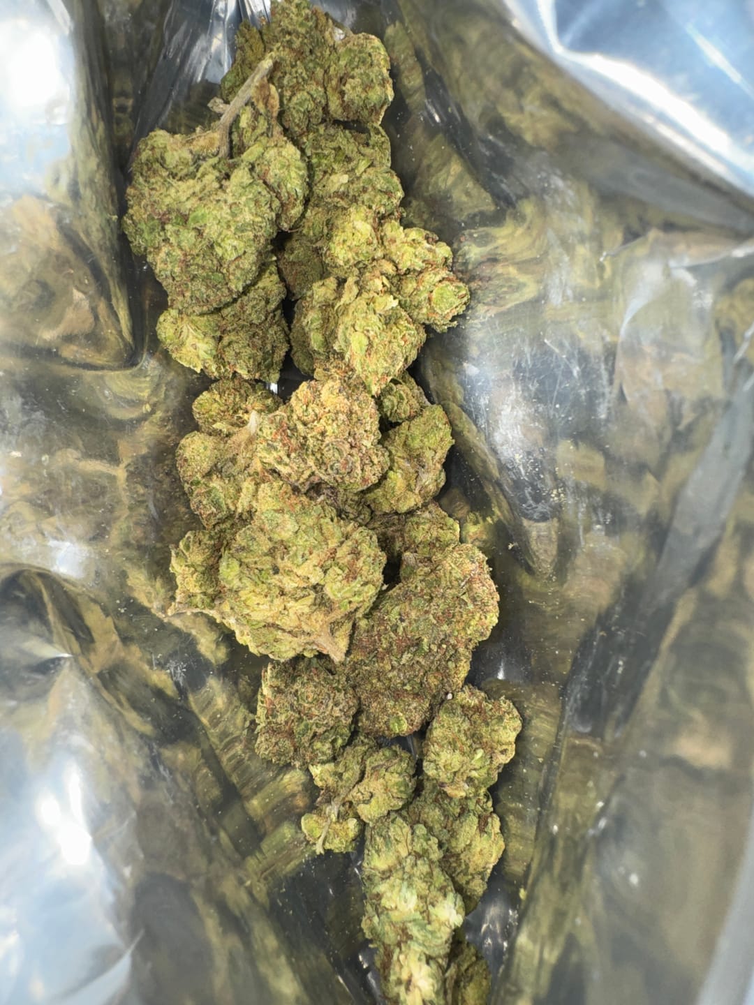 Customer photo review of Toadlato THCA Flower