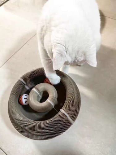 Customer photo review of CurePet Interactive Springs - Physical and Mental Exercise Toy for Cats