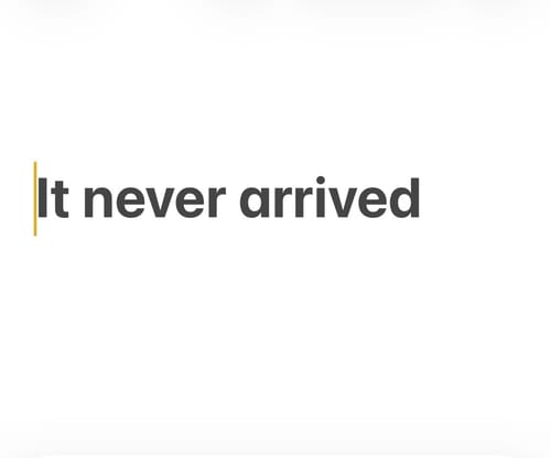 Customer's image displaying the text It never arrived, confirming the product was not received.