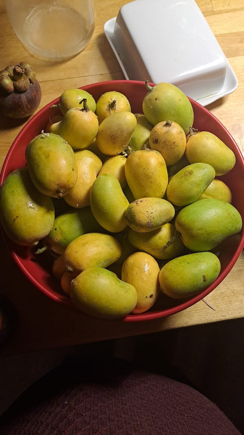 Customer photo review of Baby Honig-Mango Ataulfo Bio von Julian