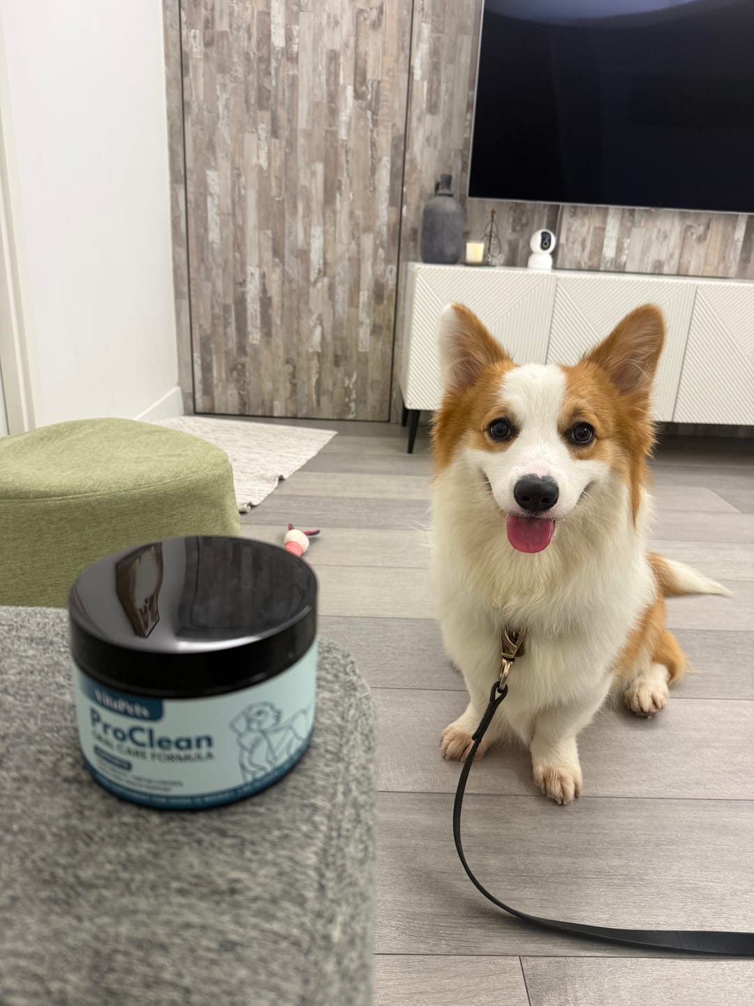 Customer photo review of ProClean™狗狗天然潔牙護齒配方