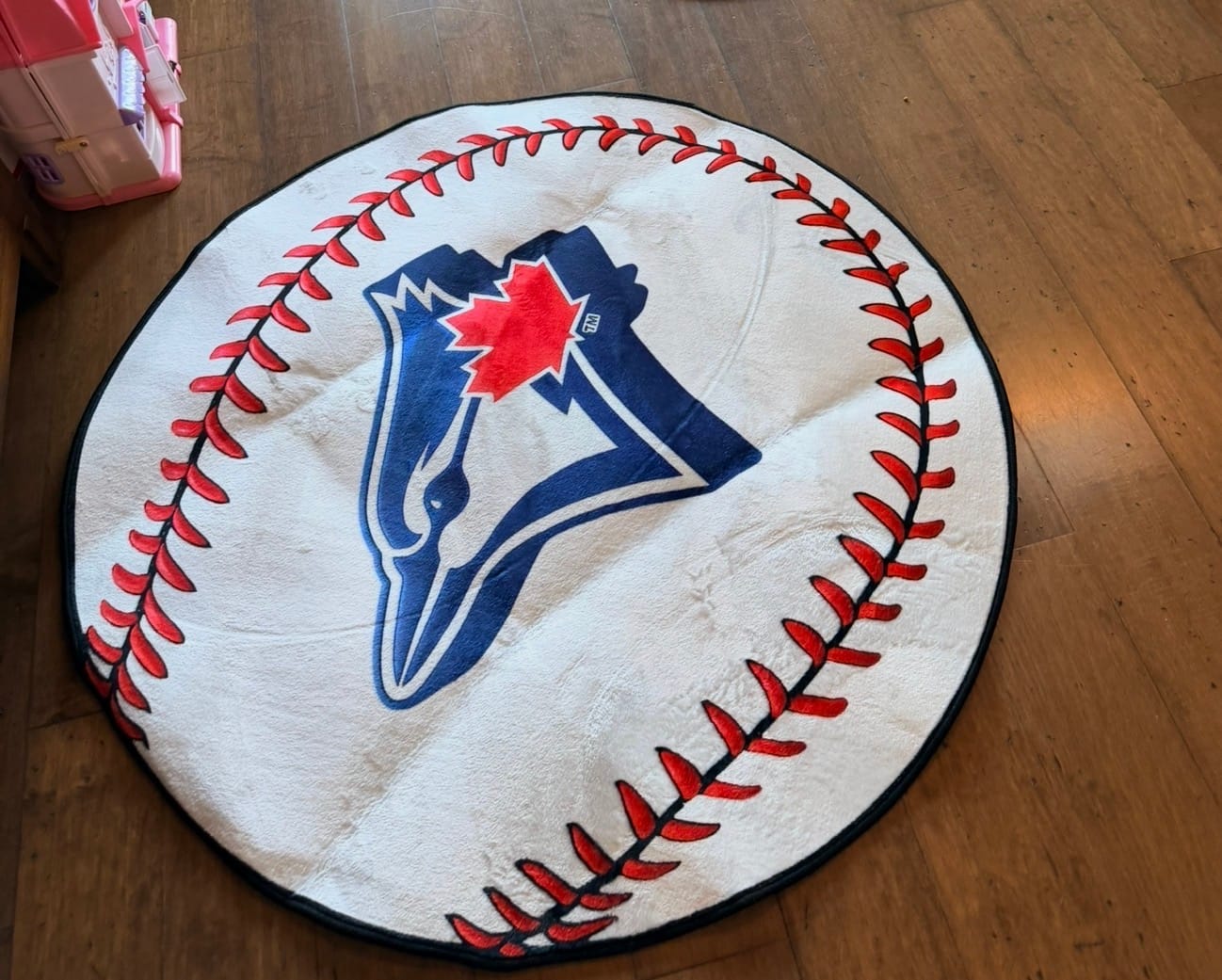 Customer photo review of Toronto Blue Jays Rug