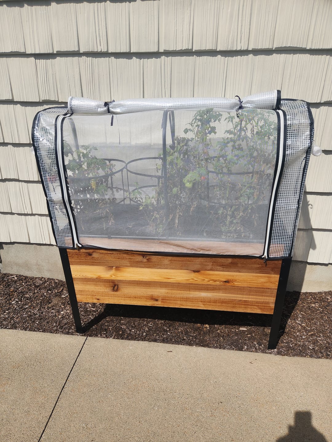 Customer photo review of Greenhouse Cover