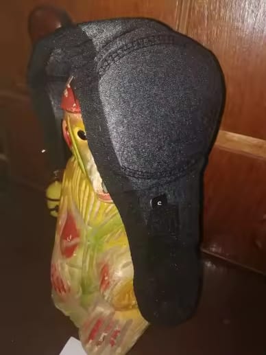 Customer photo review of Orejeras Calmantes para Perros