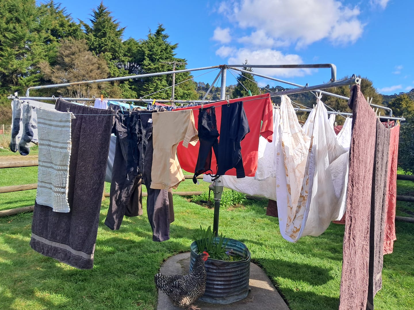 Customer photo review of Laundry Detergent x 80 Loads