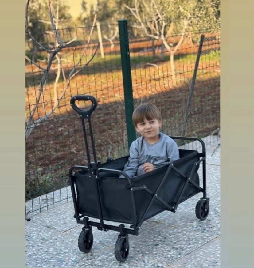 Customer photo review of Çek Götür | Katlanabilir Taşıma Arabası