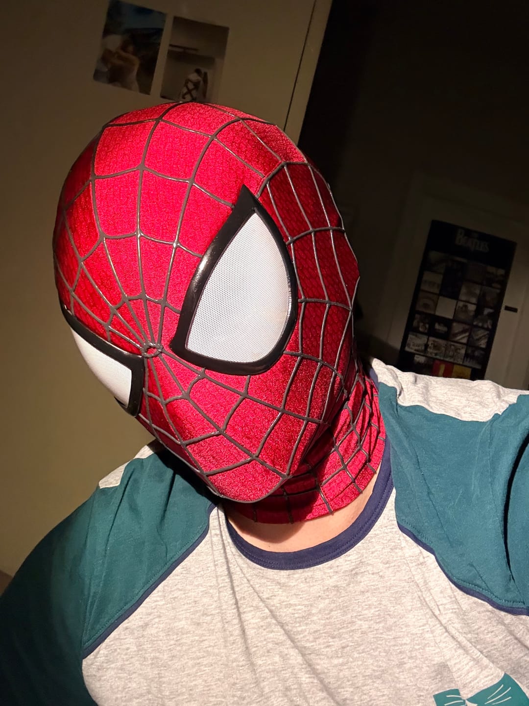 Customer photo review of The Amazing Spider-Man Mask (Movie-Grade Version)