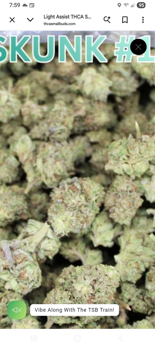 Customer photo review of Blue Sharpiez THCA Flower