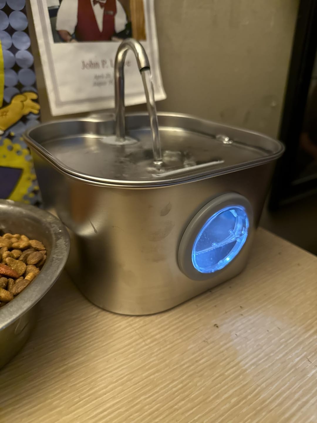 Customer photo review of AquaPurr™ Fresh Water Fountain