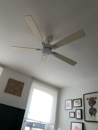 Customer's Mistral ventilateur de plafond en bois clair installé au plafond d'une pièce lumineuse.