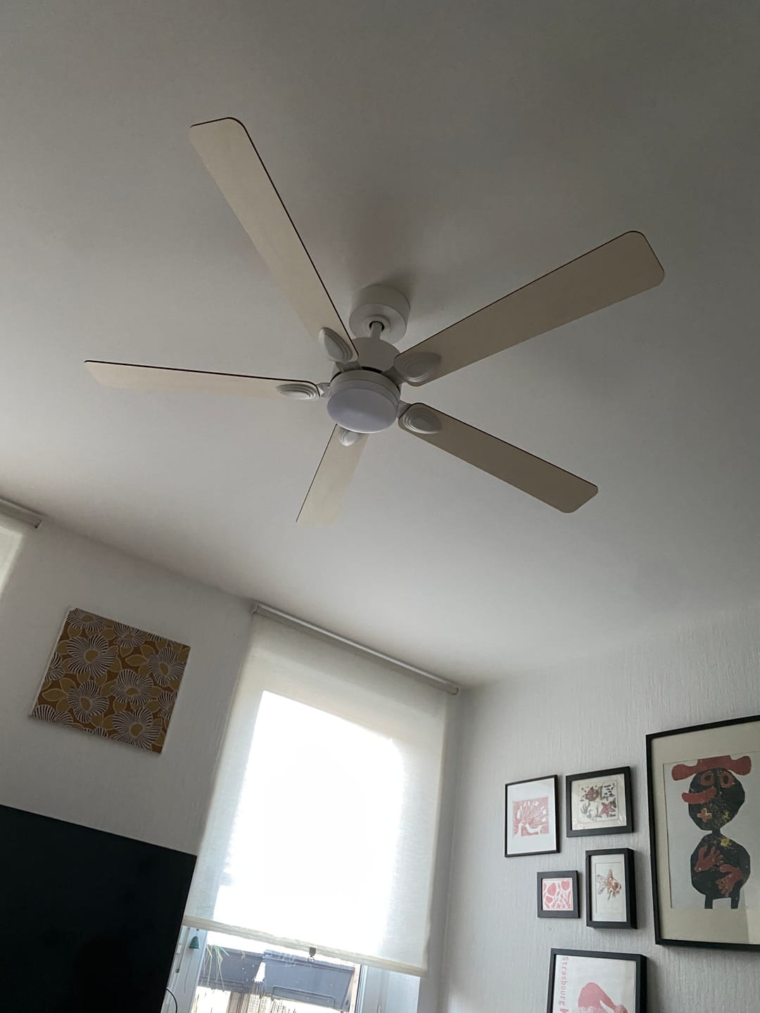 Photo de Alexandra O., cliente ou client Atelier Loupiote