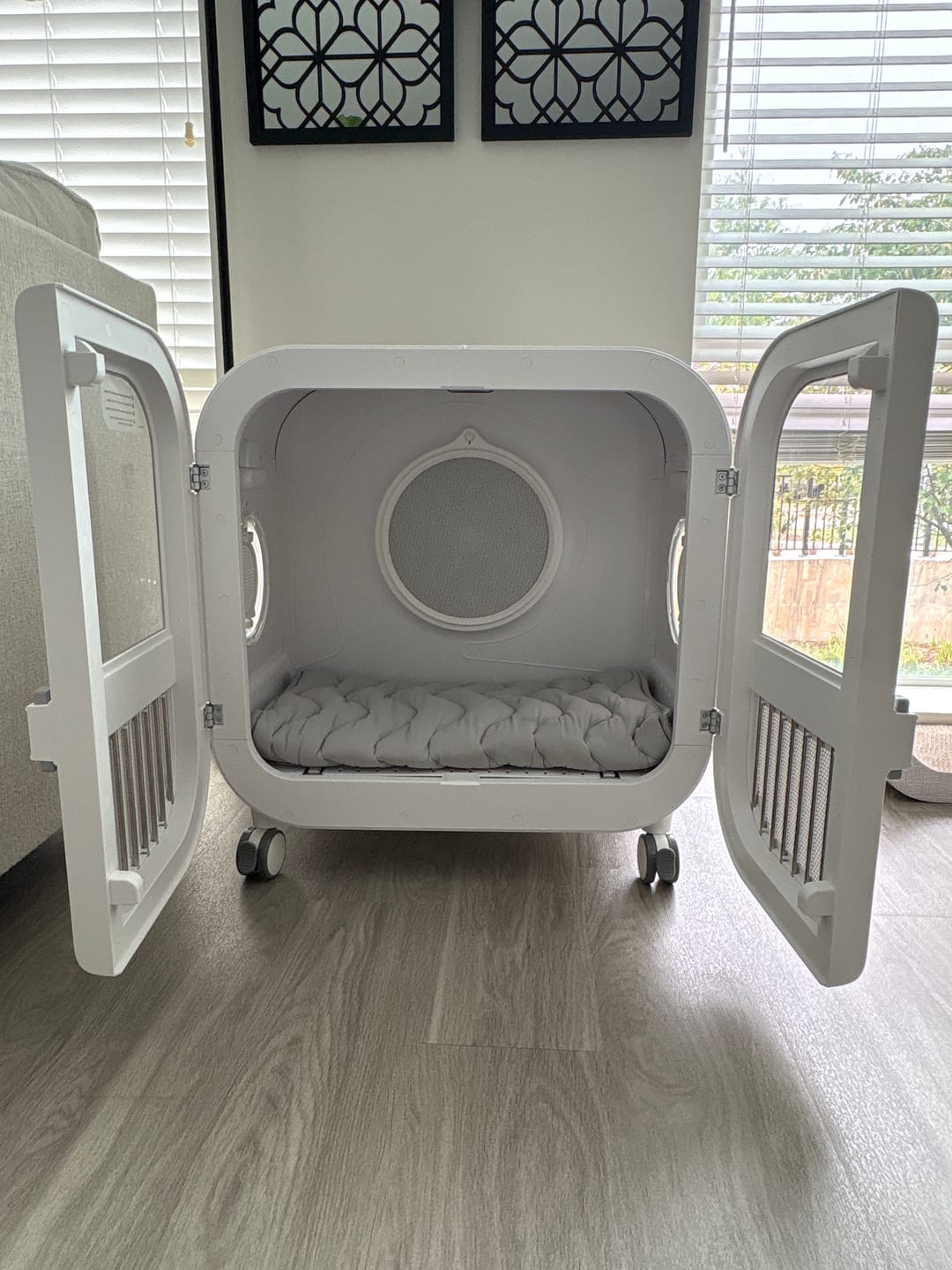 Customer photo review of Drybo Ultra Smart Pet Dryer