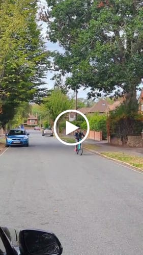 Customer video review of Kvisp Dog Bike Carrier