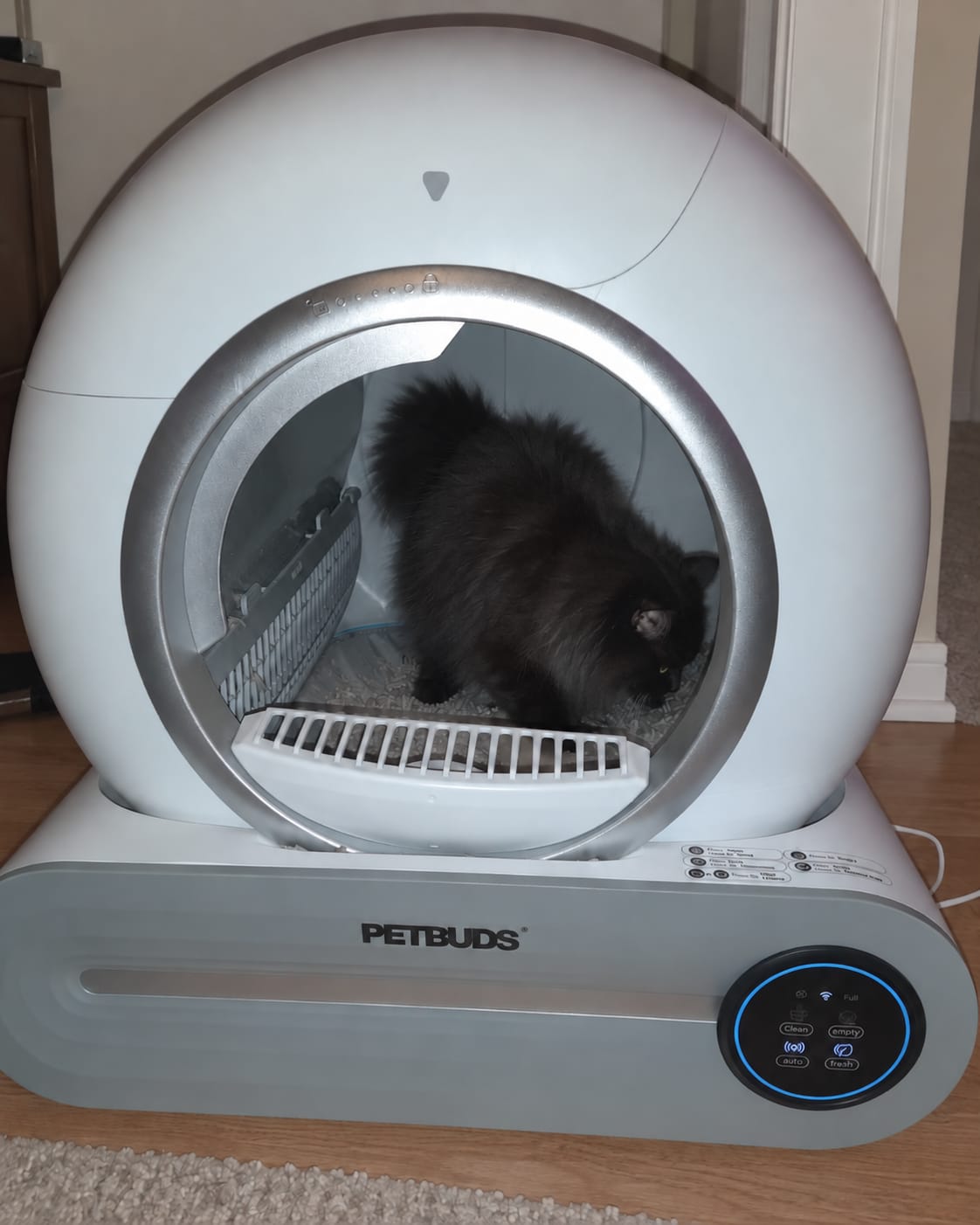 Customer photo review of Petbuds™ Pro 2026 Automatic Self-Cleaning Litter Box