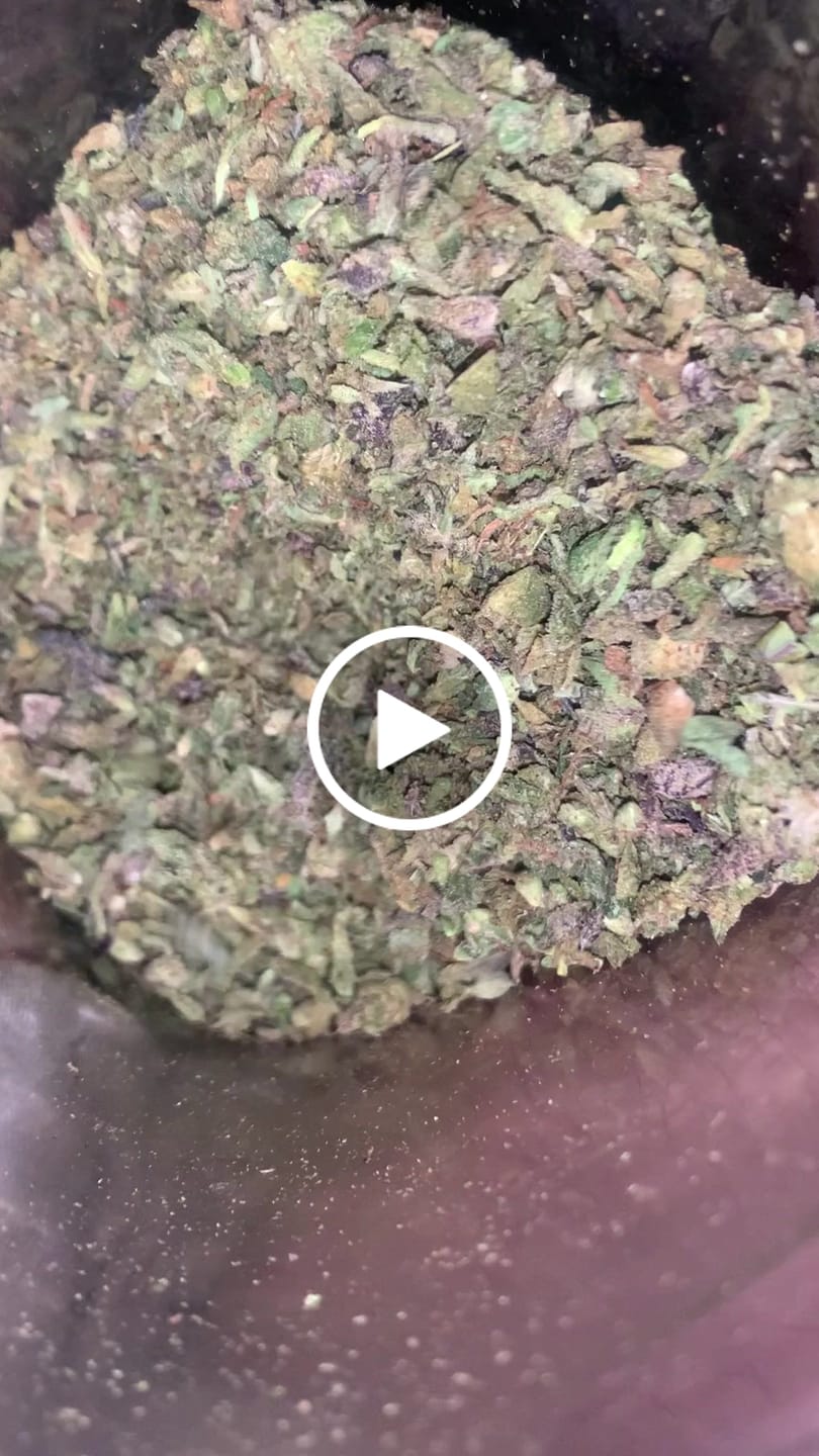 Customer video review of Lemon Haze Indoor THCA Trim
