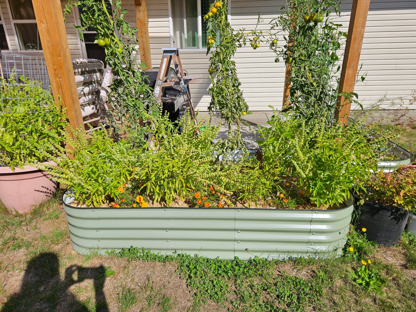 Customer photo review of 17” Tall Modular 9 in 1