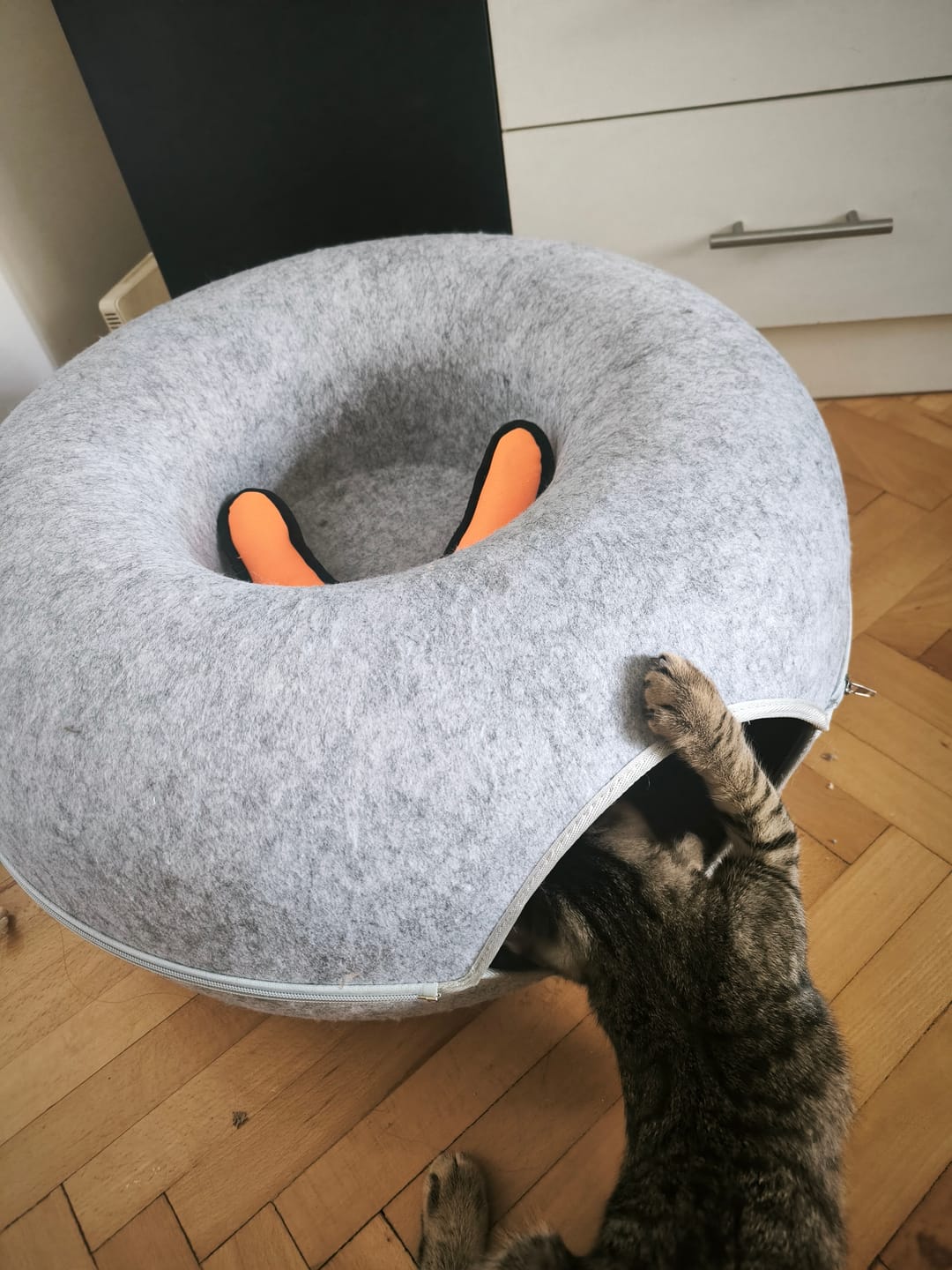 Customer photo review of Tunel Krevet za Mačke