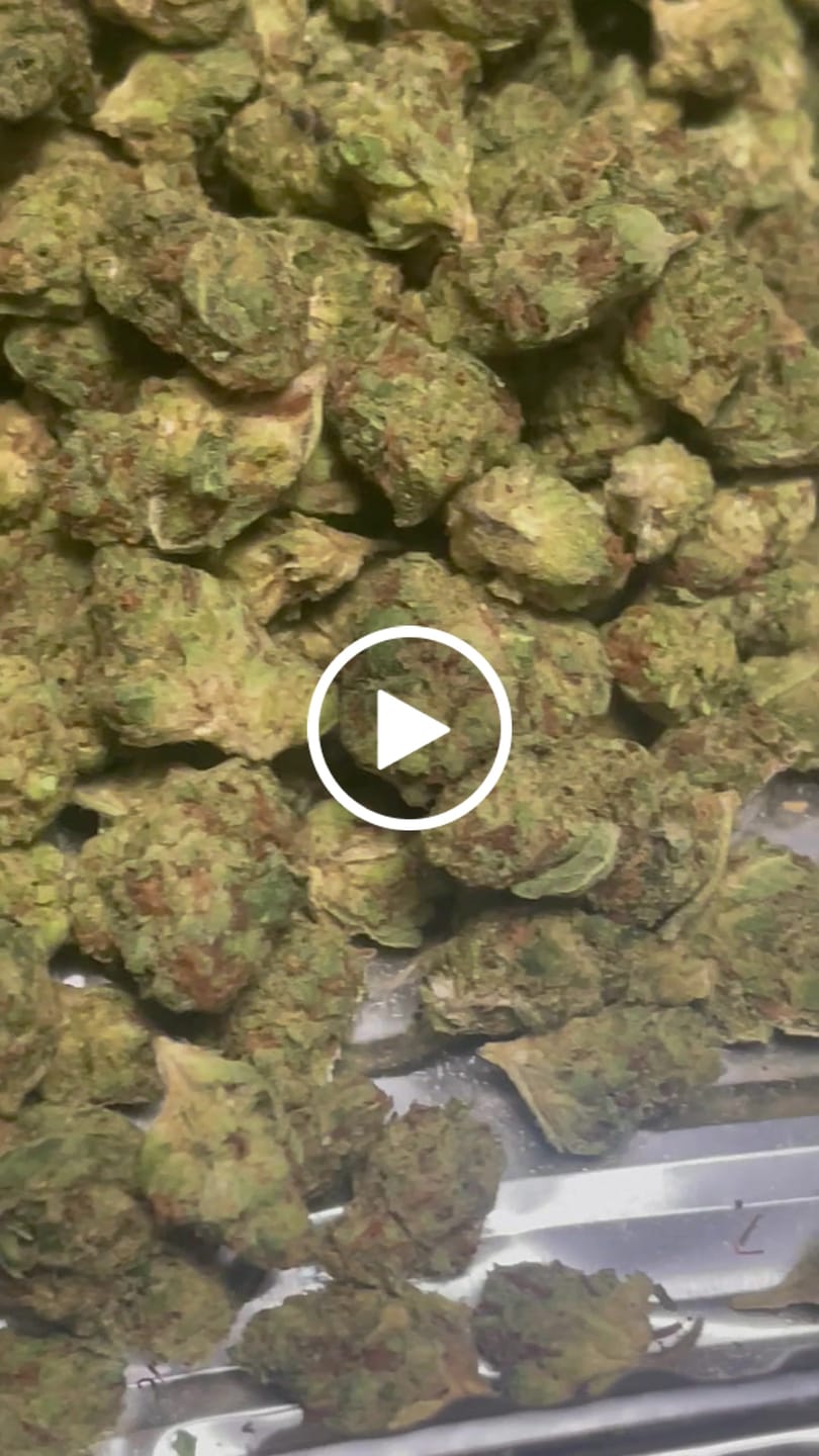 Customer video review of Garlic Gas (Indoor Smalls) - THCA Flower