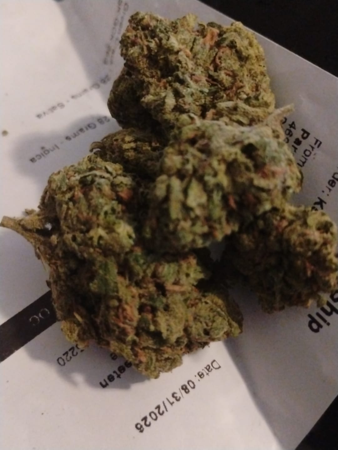 Customer photo review of Jungle Gelato - 28 Grams - Indica