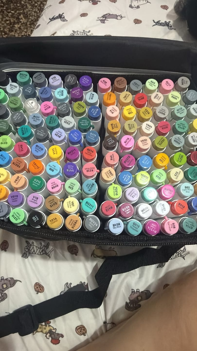 Customer photo review of Ohuhu Honolulu 120 Colors Dual Tips Alcohol Art Markers (New Color Codes)