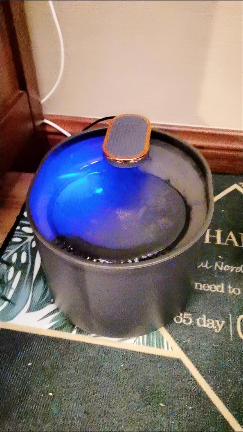 Customer photo review of Pawtique FlowSense™ 3L Sensor Pet Water Fountain