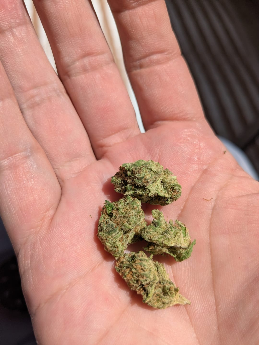 Customer photo review of Speaker Knockers Indoor THCA Mediums