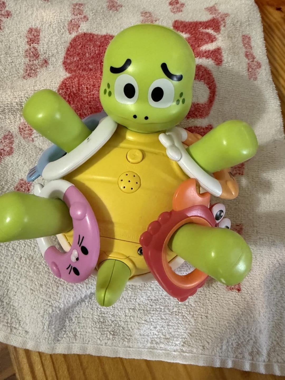 Customer photo review of Schildkröte Ringwurf Fontäne Badespielzeug | Wasserspielzeug Kleinkind Outdoor Sommer