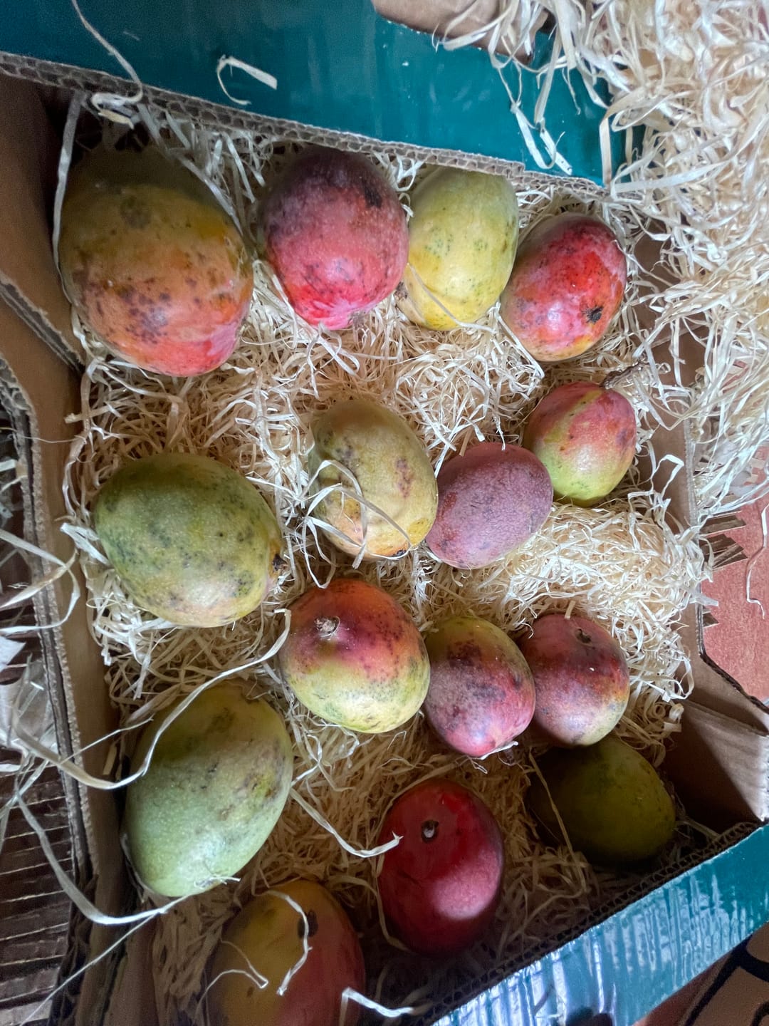 Customer photo review of Mini-Mango Tropigold von Antonio Aktionspreis %