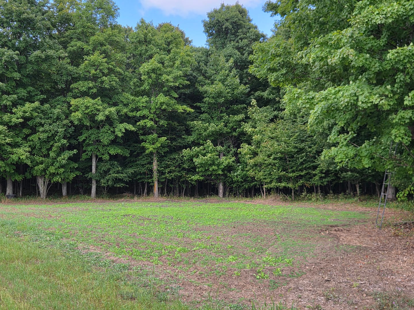 Customer photo review of No Till No Problem