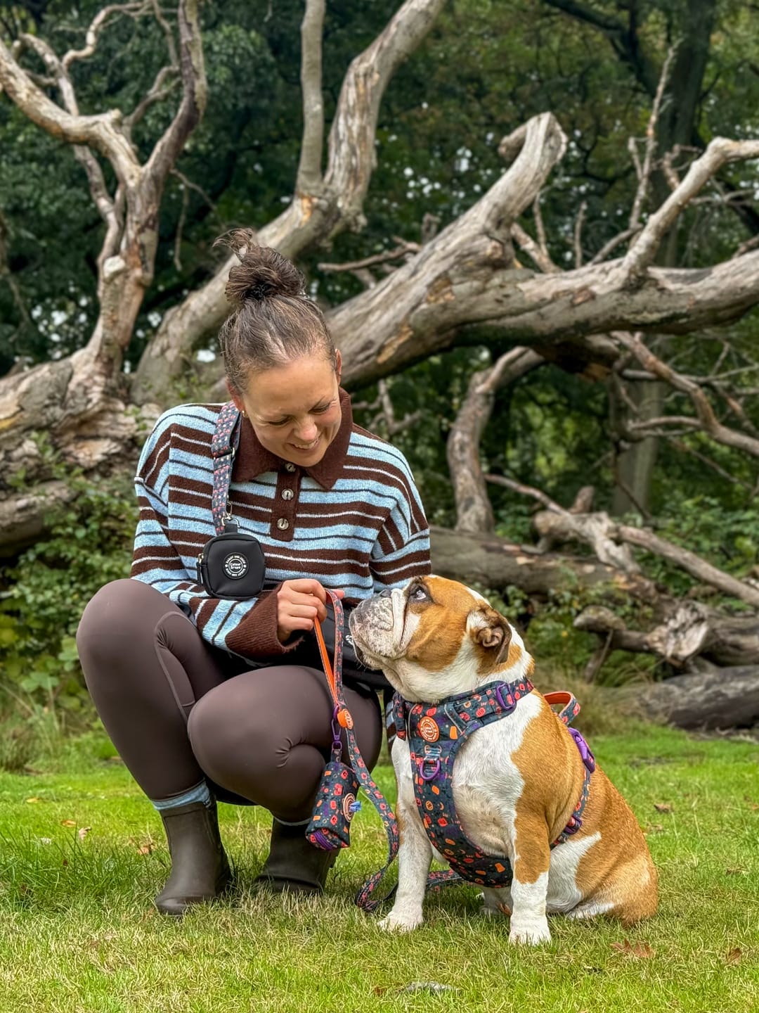 Customer photo review of Trail & Glow Dog Harness - Colour Drops - Spellbound Autumn