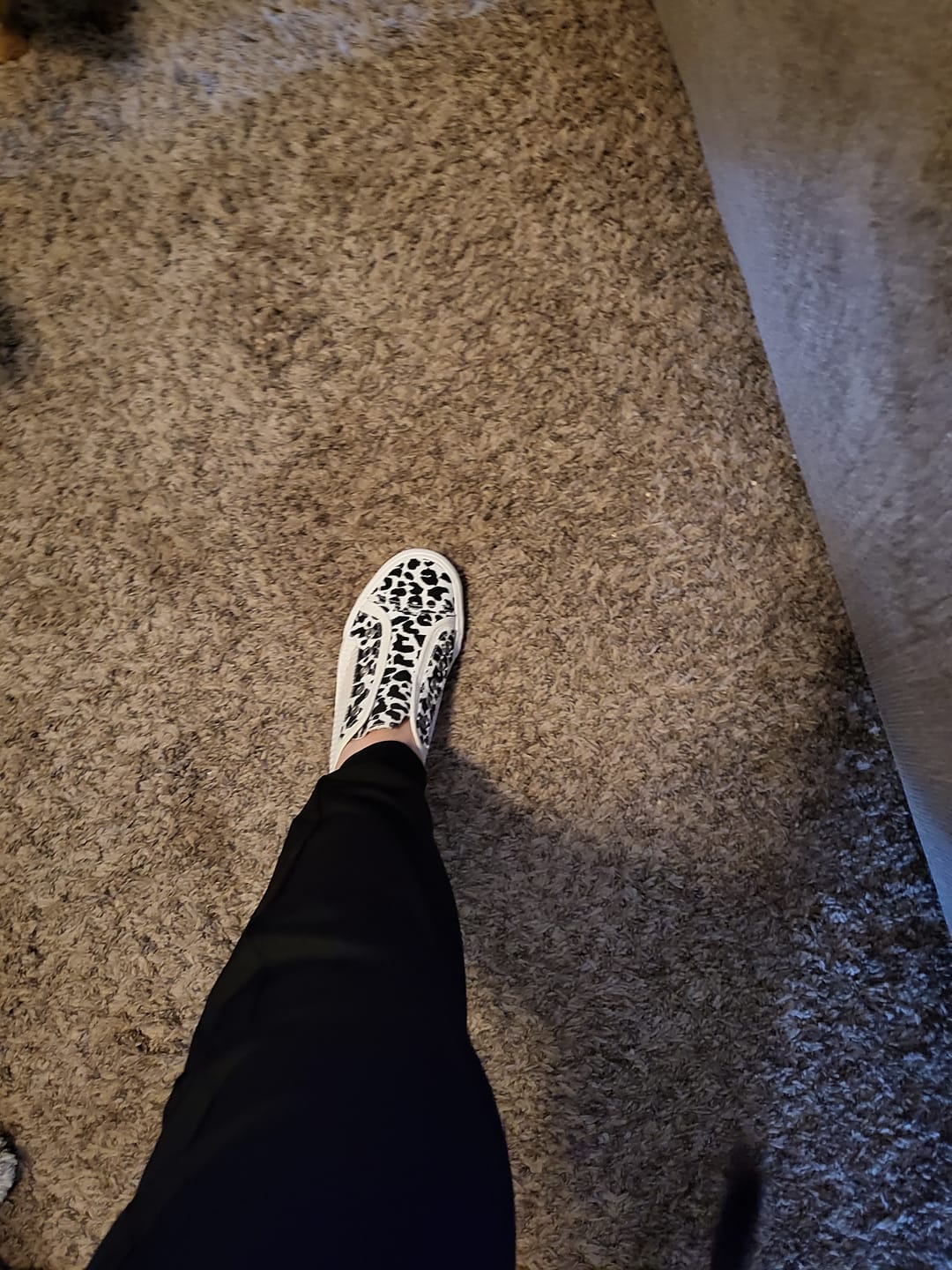 Customer photo review of "Mesh It" By Gypsy Jazz Animal Print Slip On