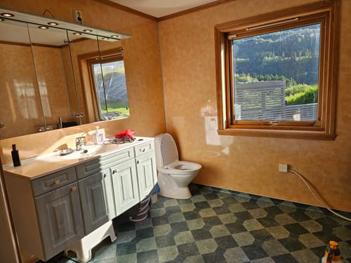 Reviewer's bathroom showing Firenze selvklebende fliser on the walls before the renovation.
