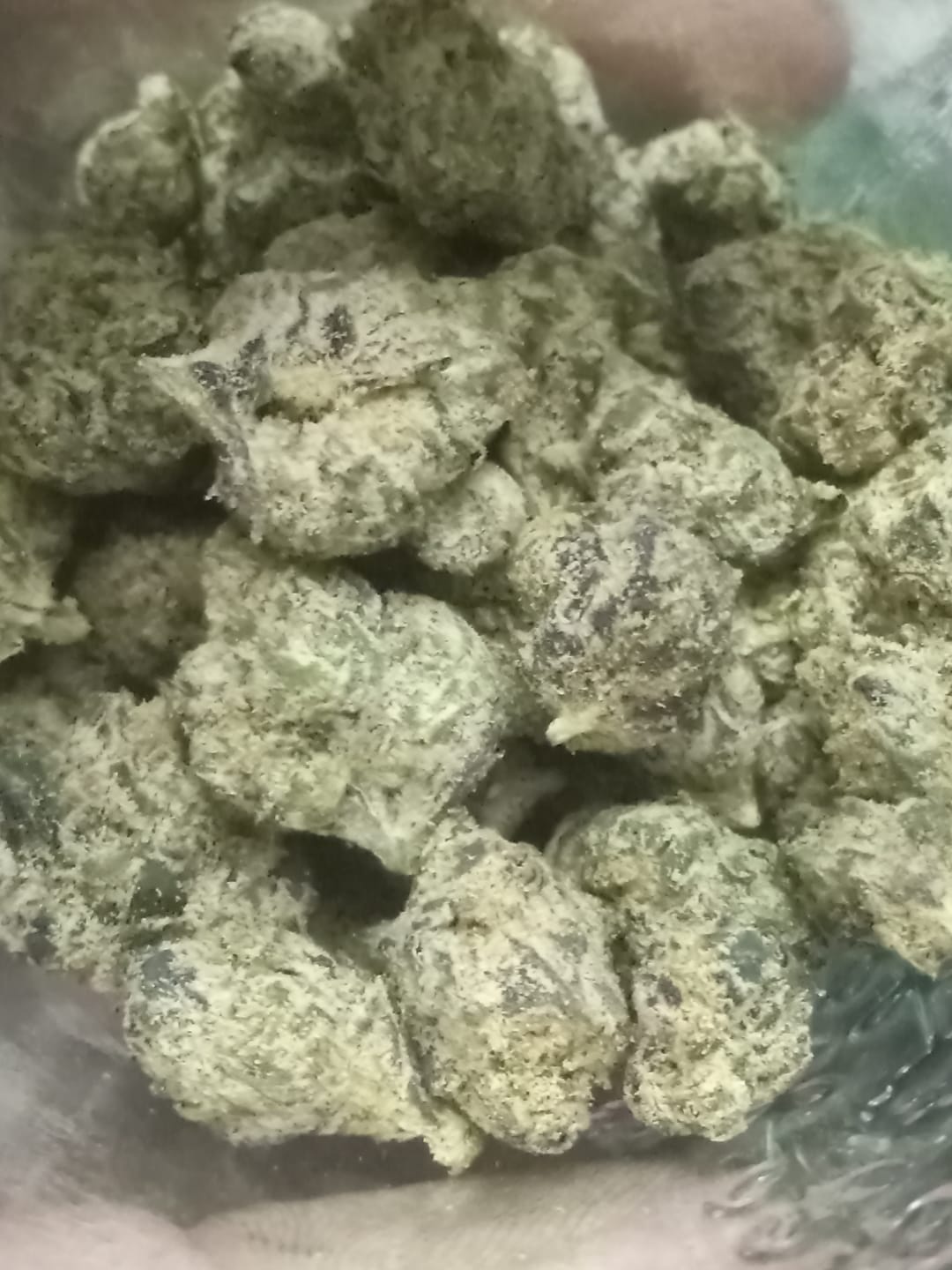 Customer photo review of Value Indoor Smalls