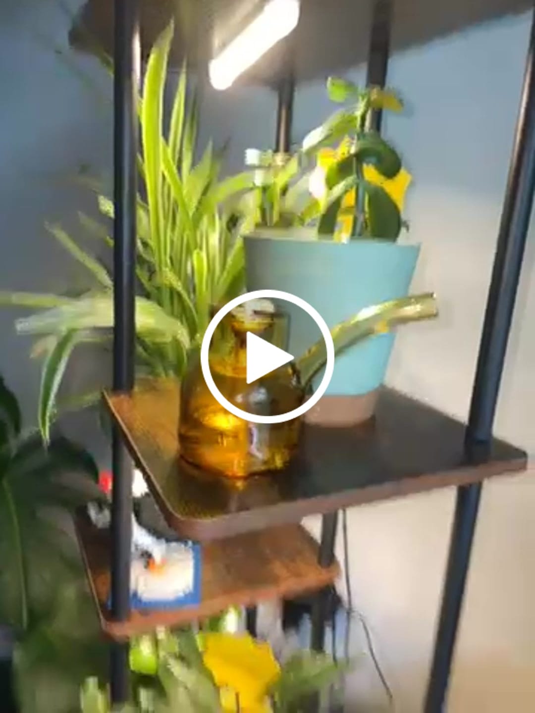 Customer video review of Vesper Bubbler
