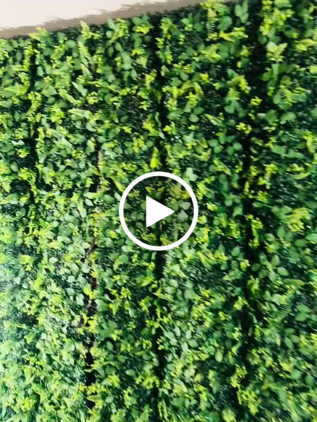 Customer video review of 8*8ft Artificial Grass Wall Backdrop ALFWL151-Perfect for Weddings, Parties & Event Decor