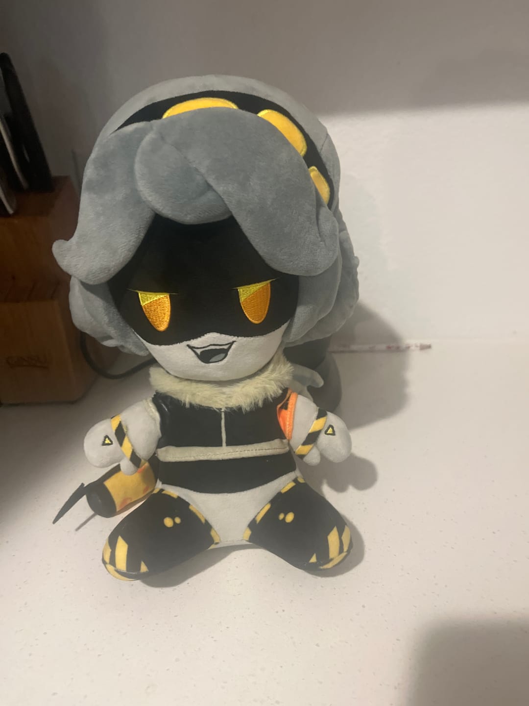 Customer photo review of V Plush