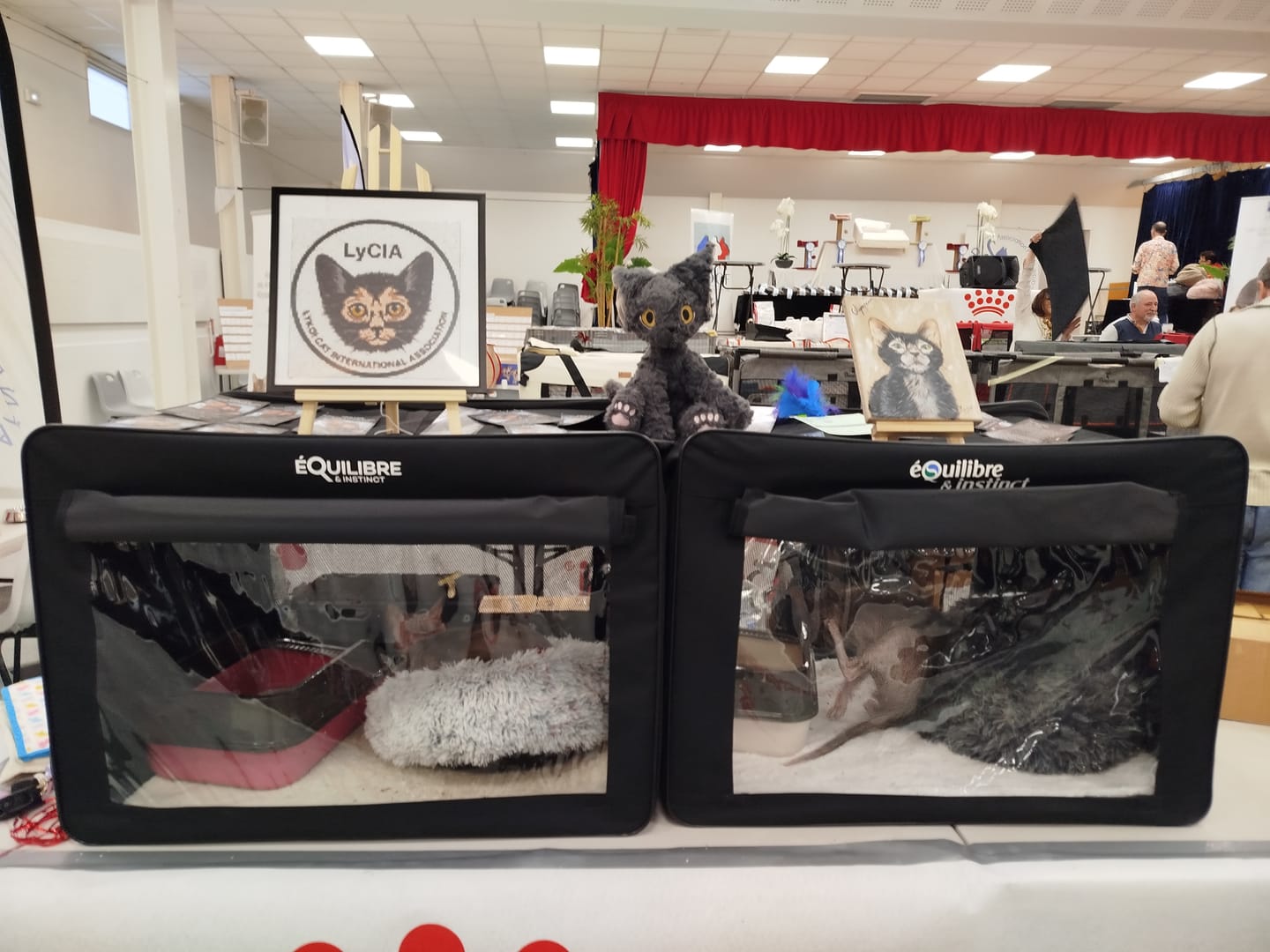 Customer photo review of Cage d'exposition pliable (Chat)