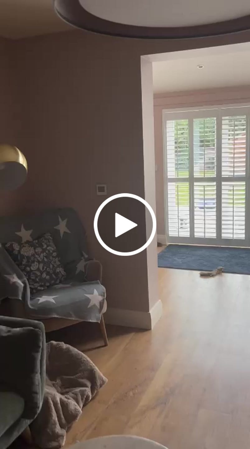 Customer video review of Pink Drab (207)