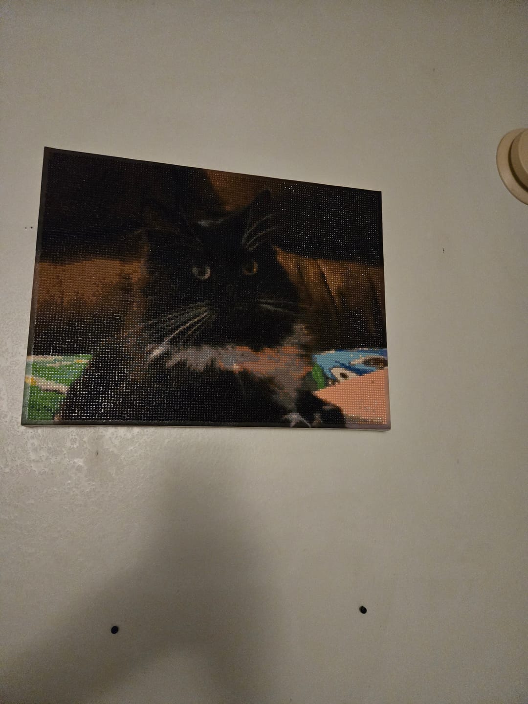 Customer photo review of Custom Diamond Painting