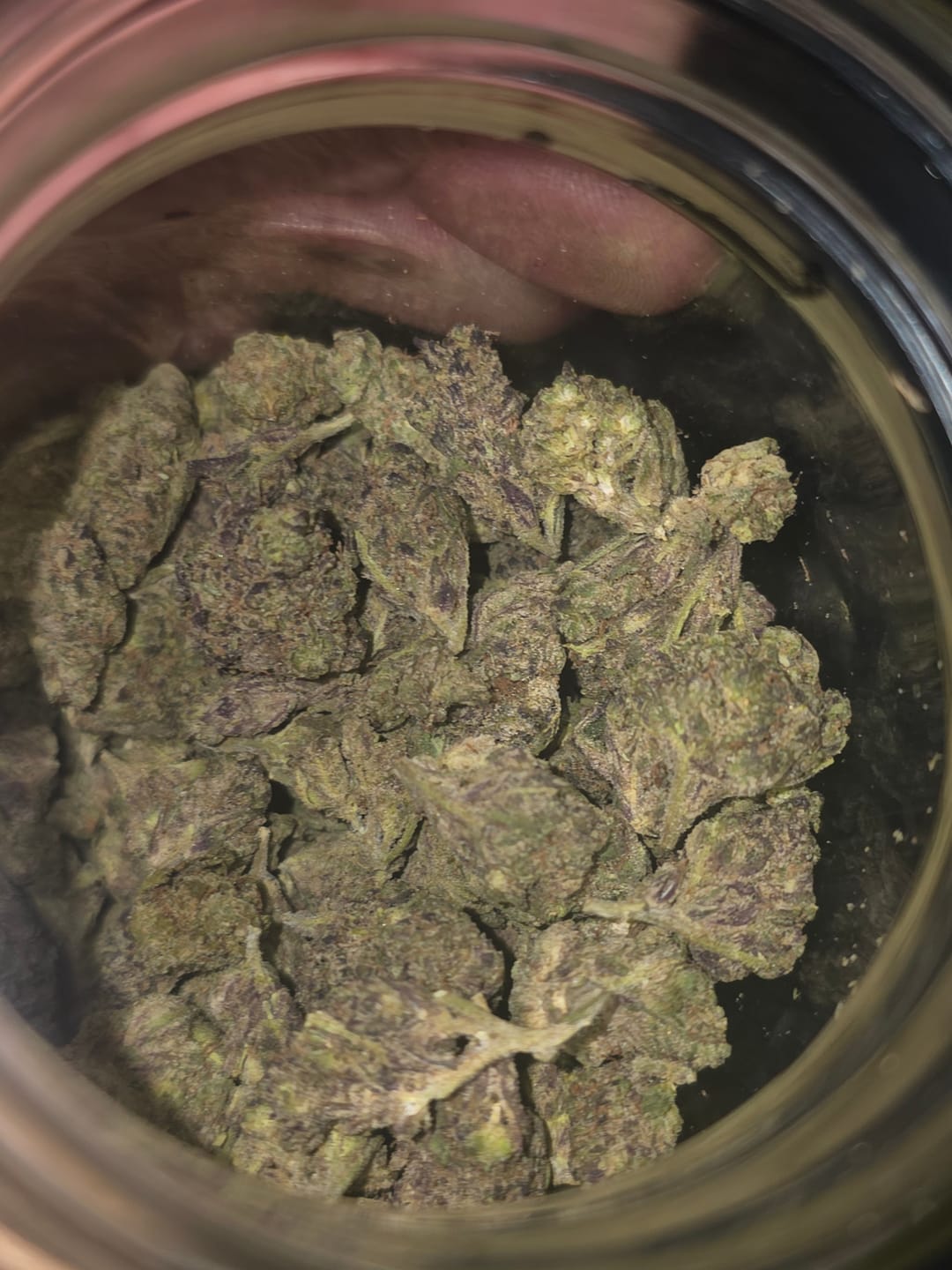 Customer photo review of Purple Kush - Bulk - Indica