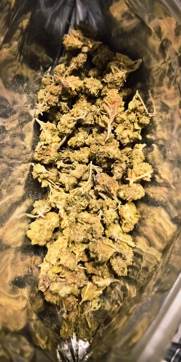 Customer photo review of Cheap THCA Flower Ounce