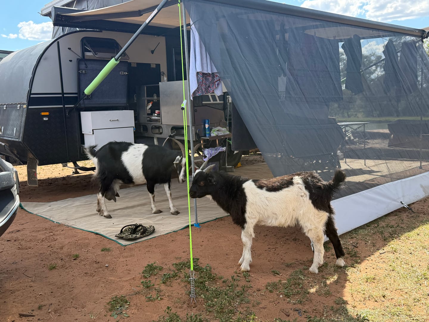 Customer photo review of Caravan Awning Privacy Sun Shade Screen