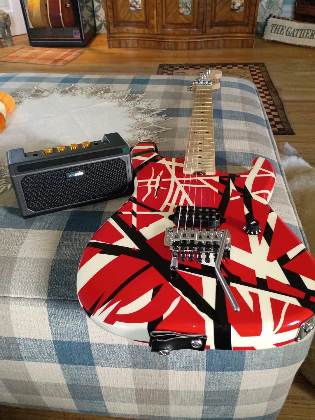 Customer photo review of TuneBomb: 10W Rechargeable Mini Amp for Guitar & Bass