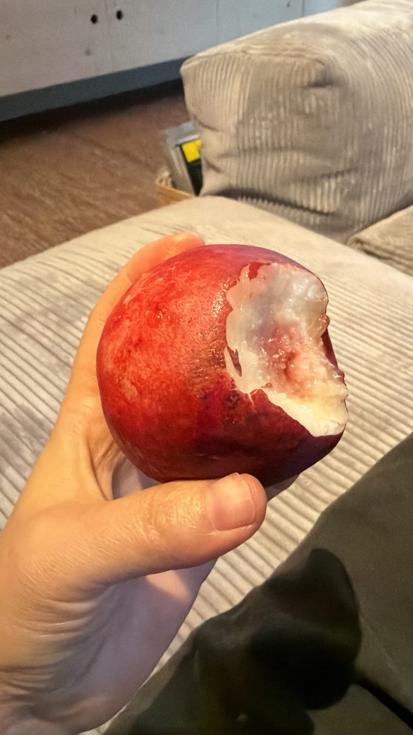 Customer photo review of Pfirsich & Nektarinen Bio von Jordi Retterbox 3kg