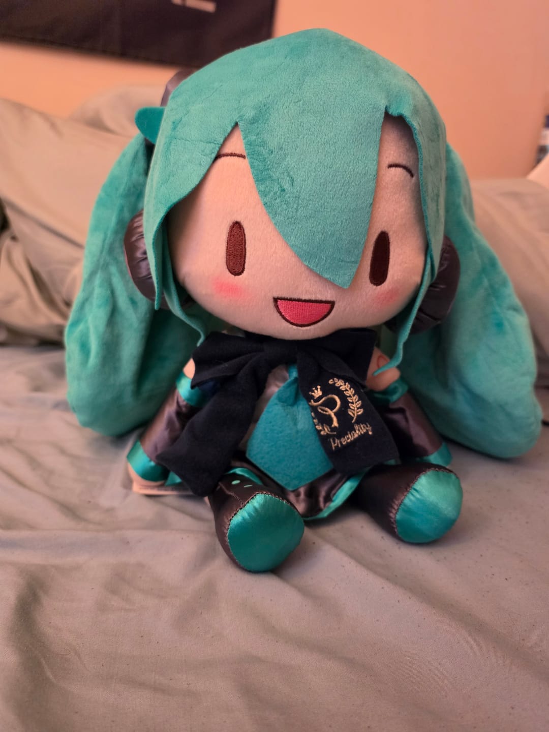 Customer photo review of Officially Licensed Hatsune Miku Classic Bow Edition – 32cm Medium Plush Toy