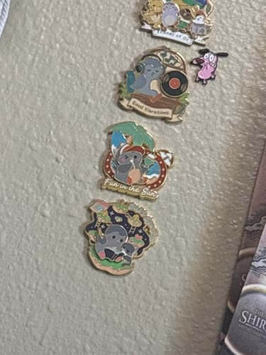 Customer's Birb's Eye View Pins displayed on a wall, showing various bird designs including colorful enamel pins.