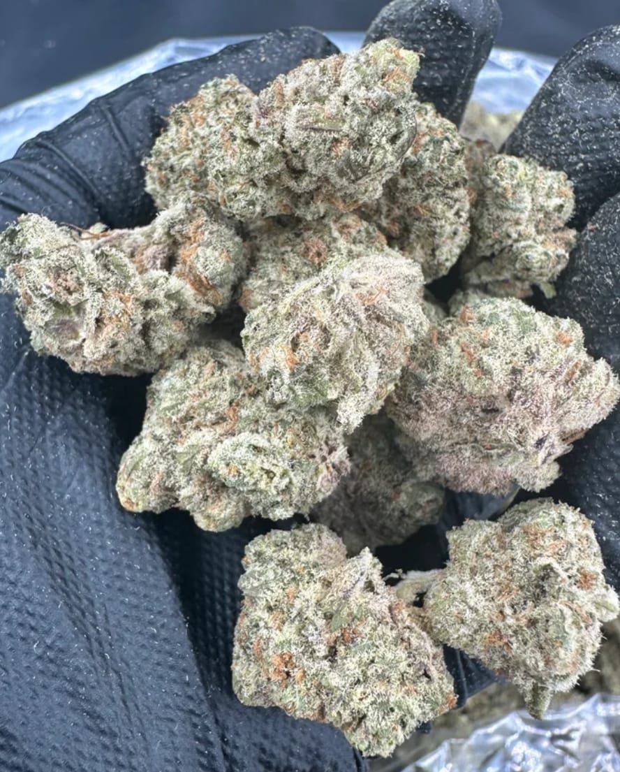 Customer photo review of Biscotti THCA Flower (Budget)