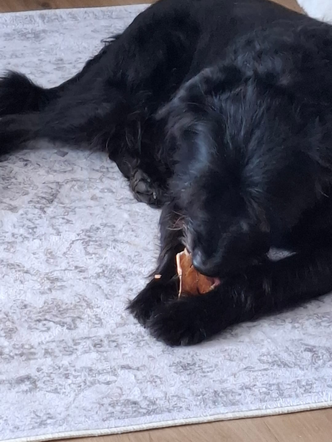 Customer photo review of KIDDOG SUPER PREMIUM 100% Entenbrust in dünnen Scheiben